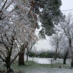 La Longère du Lavoir